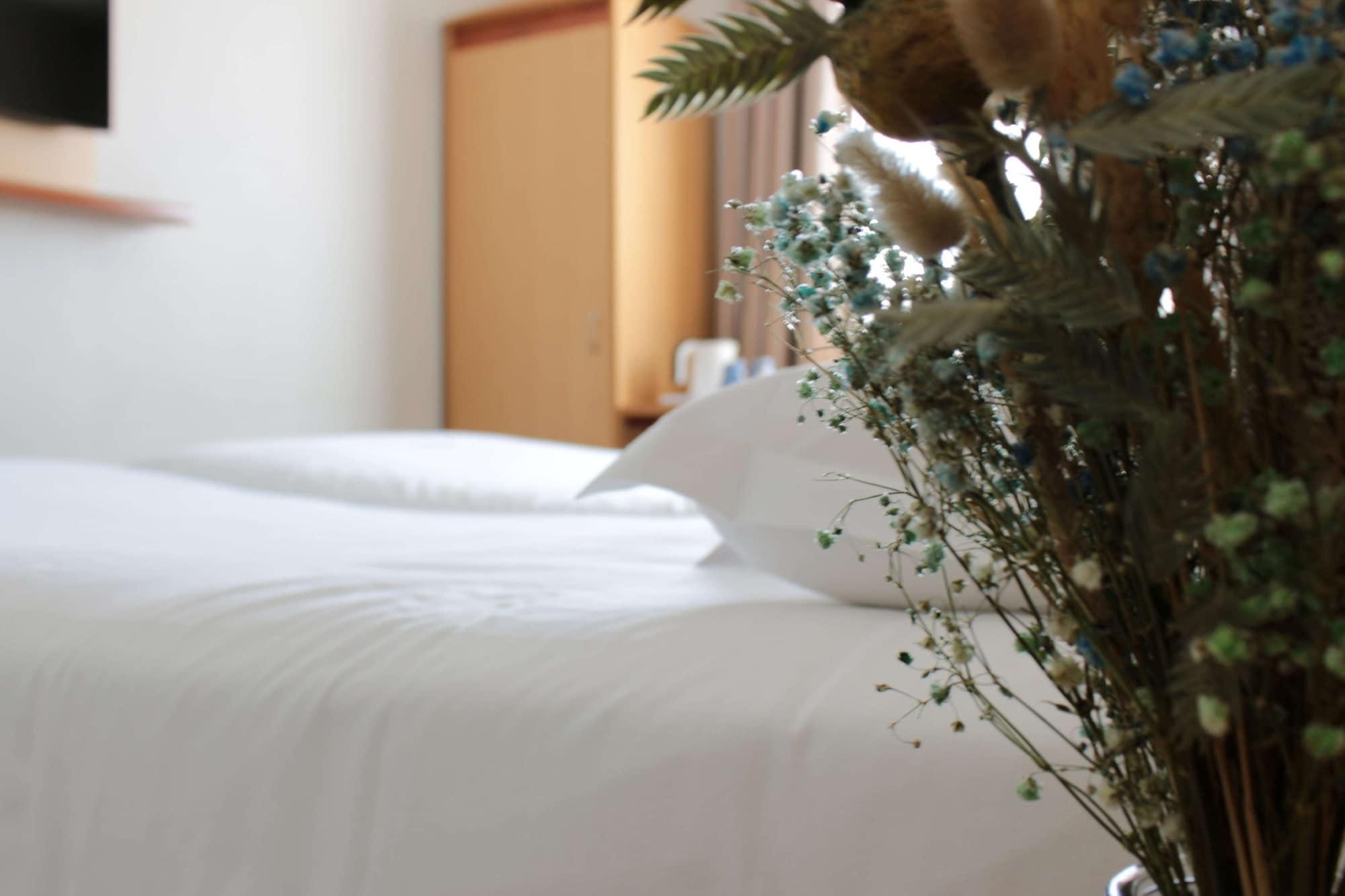 Hotel Kyriad Centre Antigone 3*